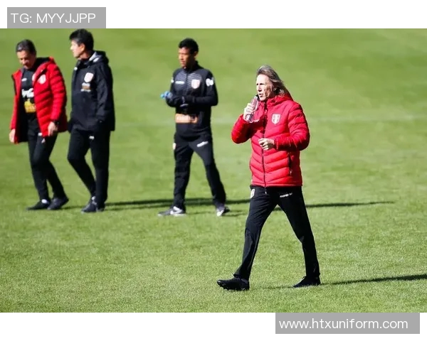 瑞典与秘鲁足球队激战正酣精彩对决引发球迷热议